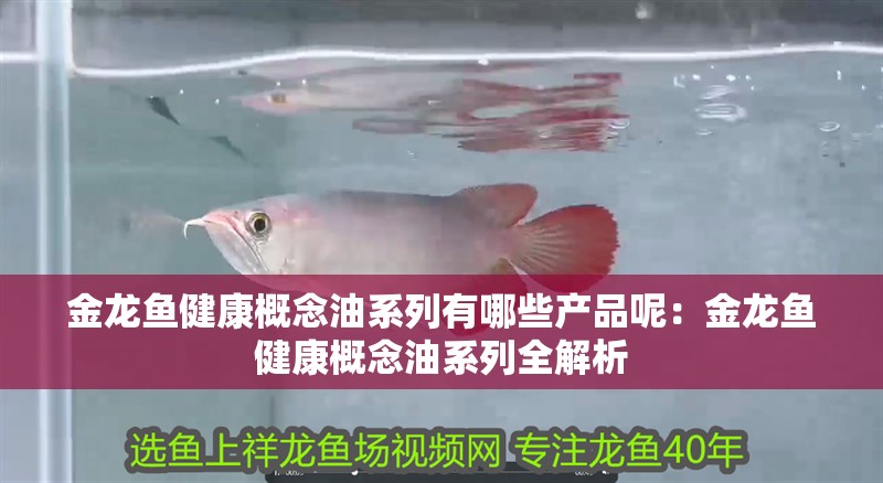 金龍魚健康概念油系列有哪些產品呢：金龍魚健康概念油系列全解析