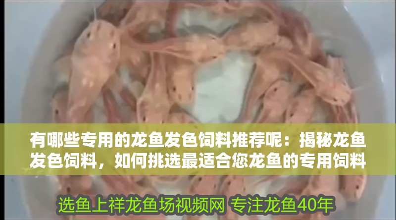 有哪些專用的龍魚發色飼料推薦呢：揭秘龍魚發色飼料，如何挑選最適合您龍魚的專用飼料