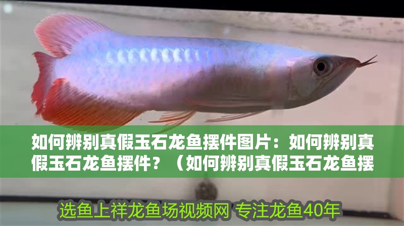 如何辨別真假玉石龍魚擺件圖片：如何辨別真假玉石龍魚擺件？（如何辨別真假玉石龍魚擺件）