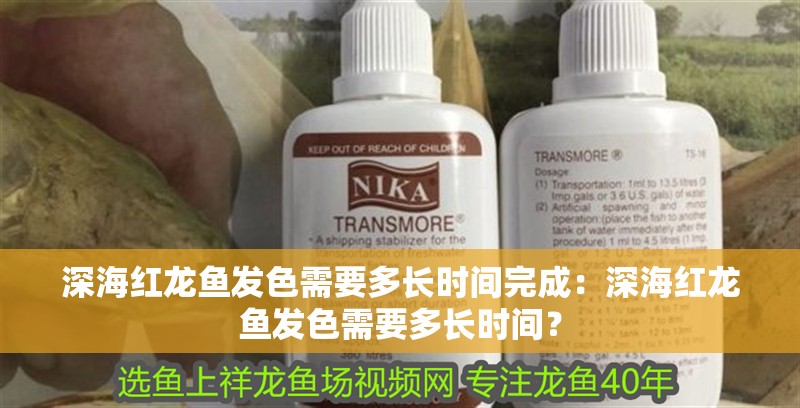 深海紅龍魚(yú)發(fā)色需要多長(zhǎng)時(shí)間完成：深海紅龍魚(yú)發(fā)色需要多長(zhǎng)時(shí)間？