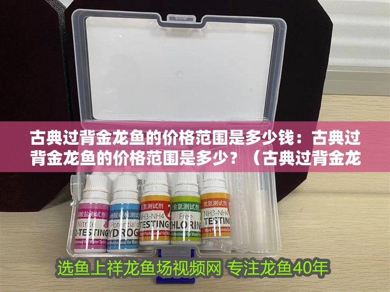 古典過(guò)背金龍魚(yú)的價(jià)格范圍是多少錢(qián)：古典過(guò)背金龍魚(yú)的價(jià)格范圍是多少？（古典過(guò)背金龍魚(yú)價(jià)格范圍）