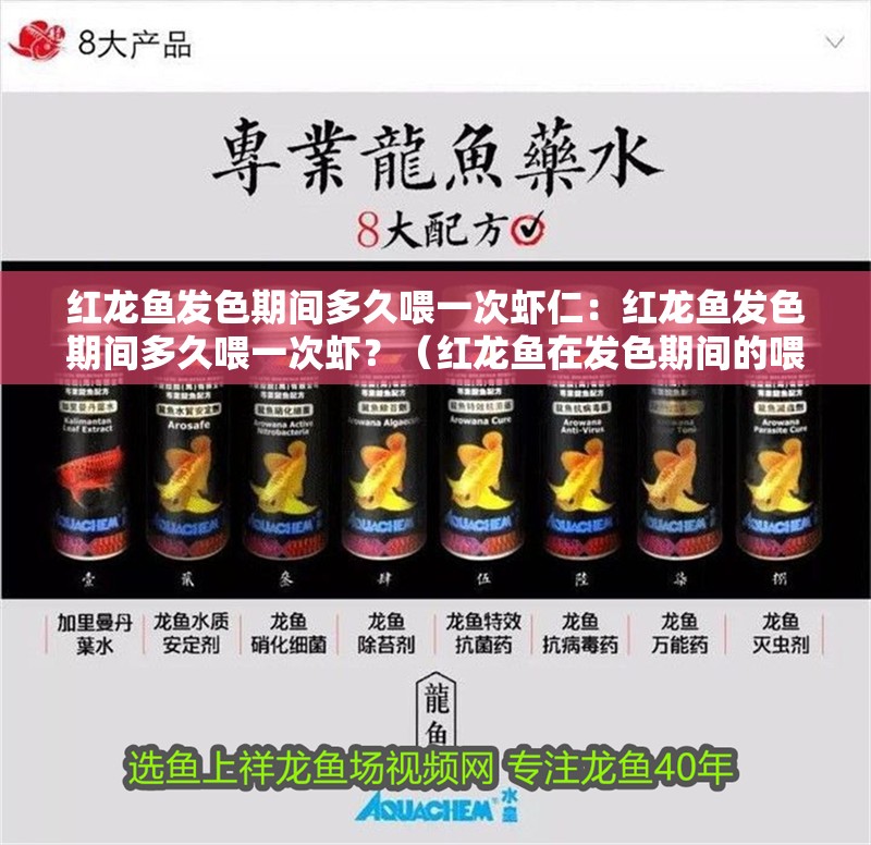 紅龍魚發(fā)色期間多久喂一次蝦仁：紅龍魚發(fā)色期間多久喂一次蝦？（紅龍魚在發(fā)色期間的喂食頻率需要特別注意）