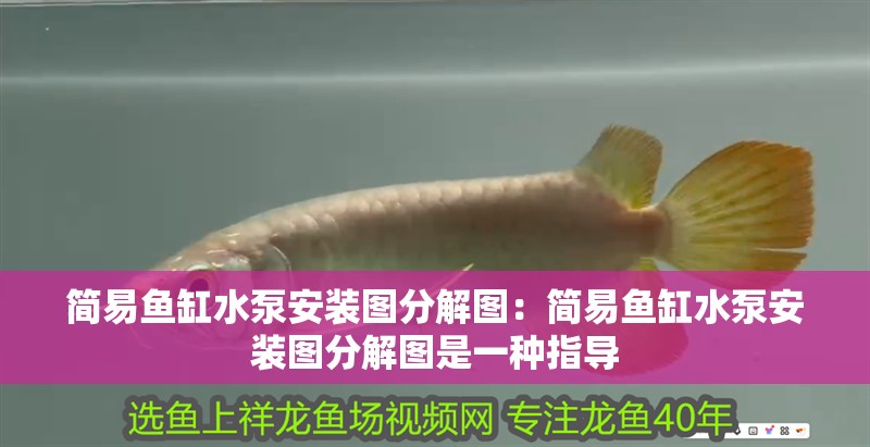 簡易魚缸水泵安裝圖分解圖：簡易魚缸水泵安裝圖分解圖是一種指導