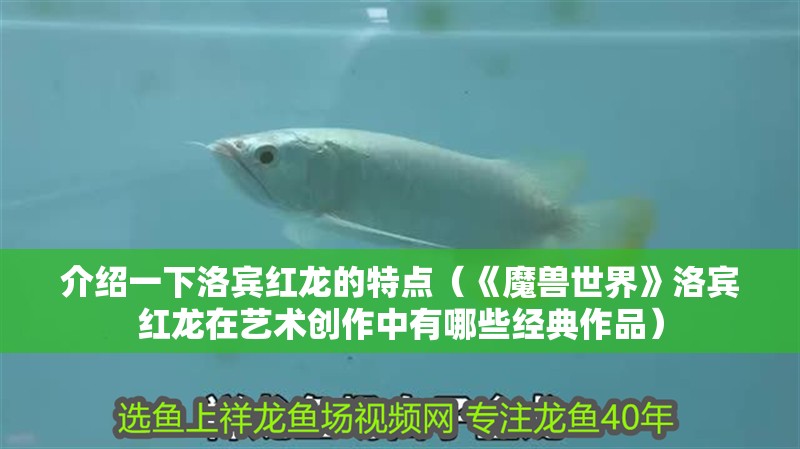 介紹一下洛賓紅龍的特點（《魔獸世界》洛賓紅龍在藝術創作中有哪些經典作品）