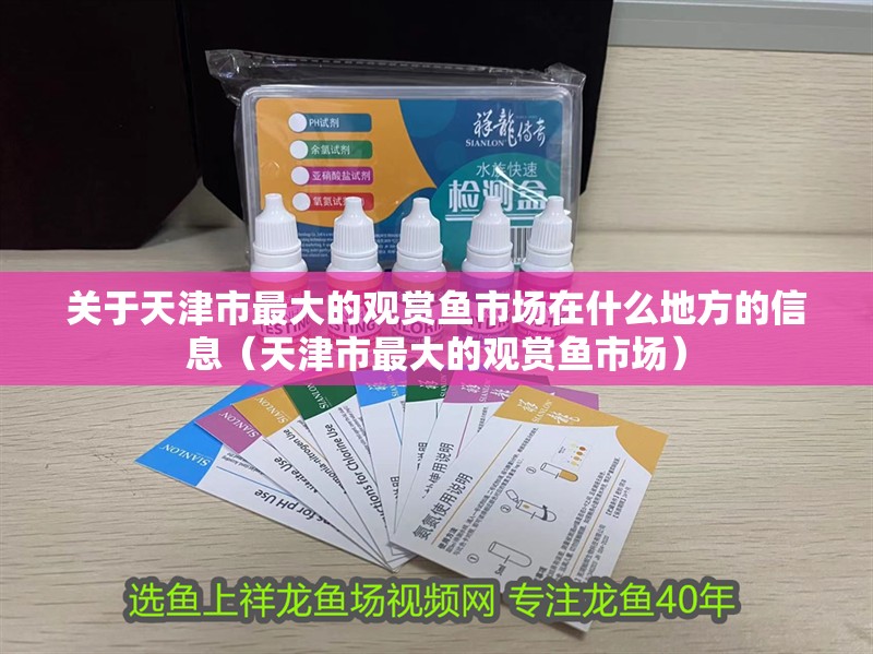 關(guān)于天津市最大的觀賞魚市場(chǎng)在什么地方的信息（天津市最大的觀賞魚市場(chǎng)）