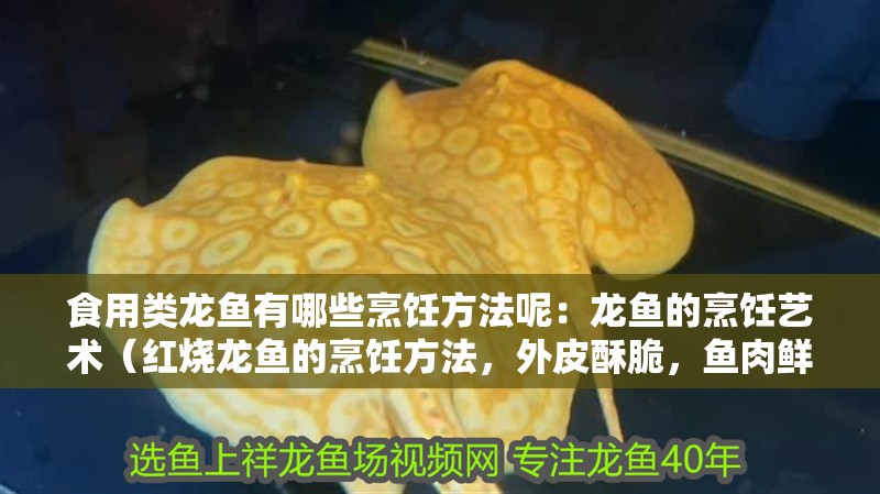 食用類龍魚有哪些烹飪方法呢：龍魚的烹飪藝術（紅燒龍魚的烹飪方法，外皮酥脆，魚肉鮮嫩多汁）