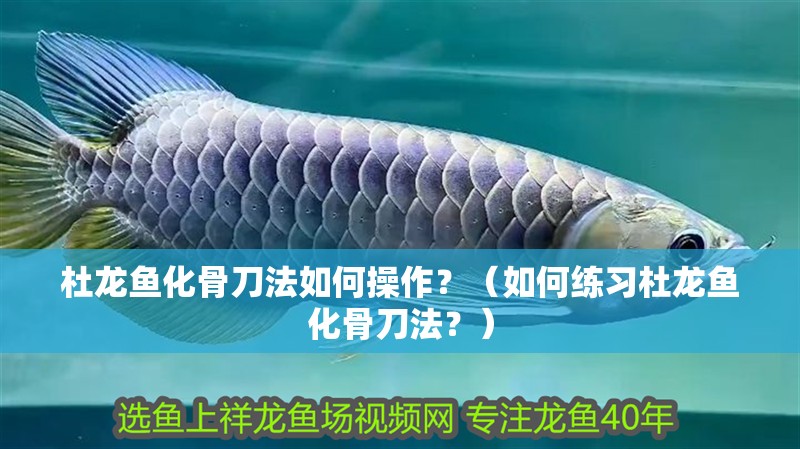 杜龍魚化骨刀法如何操作？（如何練習杜龍魚化骨刀法？）