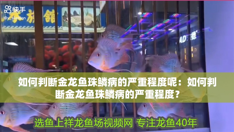 如何判斷金龍魚珠鱗病的嚴重程度呢：如何判斷金龍魚珠鱗病的嚴重程度？