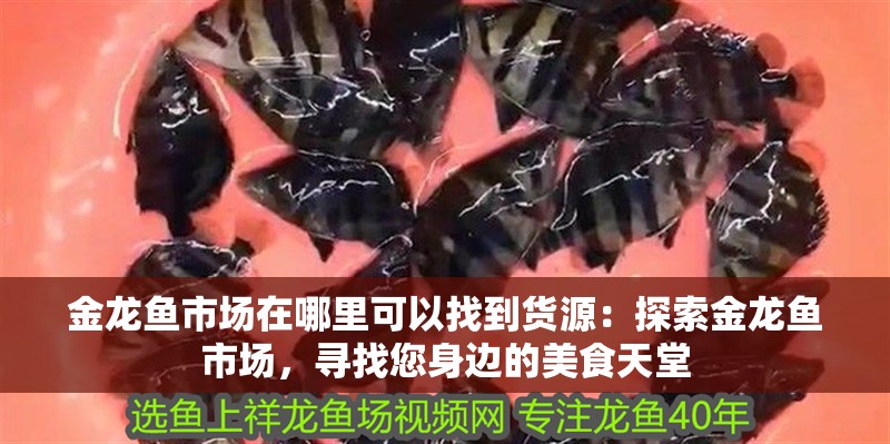 金龍魚市場在哪里可以找到貨源：探索金龍魚市場，尋找您身邊的美食天堂