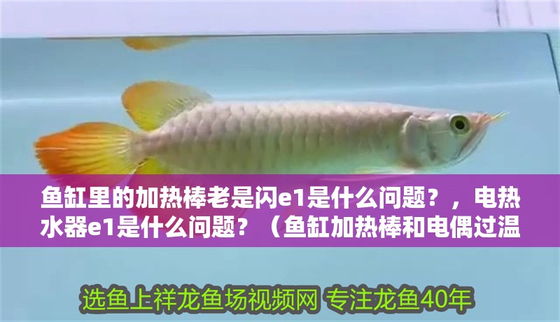 魚缸里的加熱棒老是閃e1是什么問題？，電熱水器e1是什么問題？（魚缸加熱棒和電偶過溫棒和電熱水器的故障代碼是不一樣的）