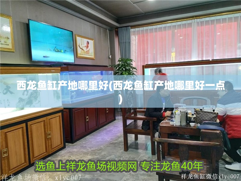 西龍魚缸產(chǎn)地哪里好(西龍魚缸產(chǎn)地哪里好一點)