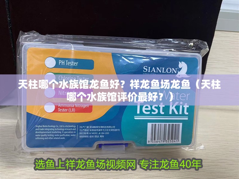 <strong><mark>天柱</mark></strong>哪個水族館龍魚好？祥龍魚場龍魚（<strong><mark>天柱</mark></strong>哪個水族館評價最好？）