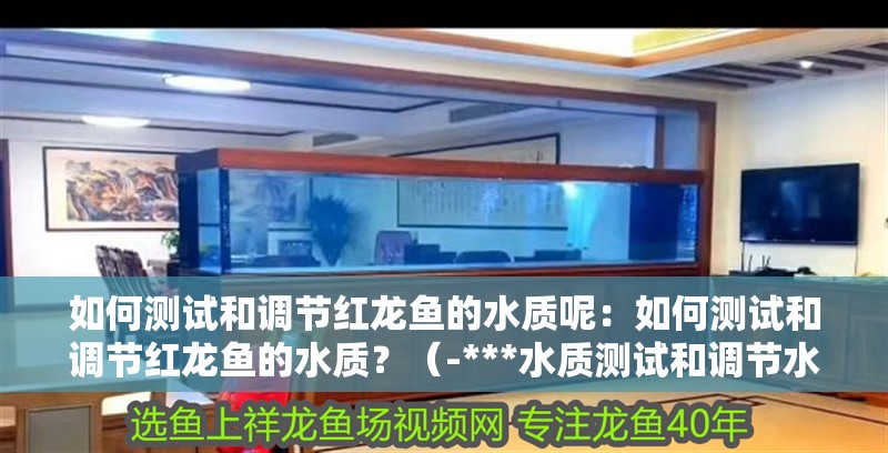 如何測(cè)試和調(diào)節(jié)紅龍魚(yú)的水質(zhì)呢：如何測(cè)試和調(diào)節(jié)紅龍魚(yú)的水質(zhì)？（-***水質(zhì)測(cè)試和調(diào)節(jié)水質(zhì)指標(biāo)是否適合紅龍魚(yú)）