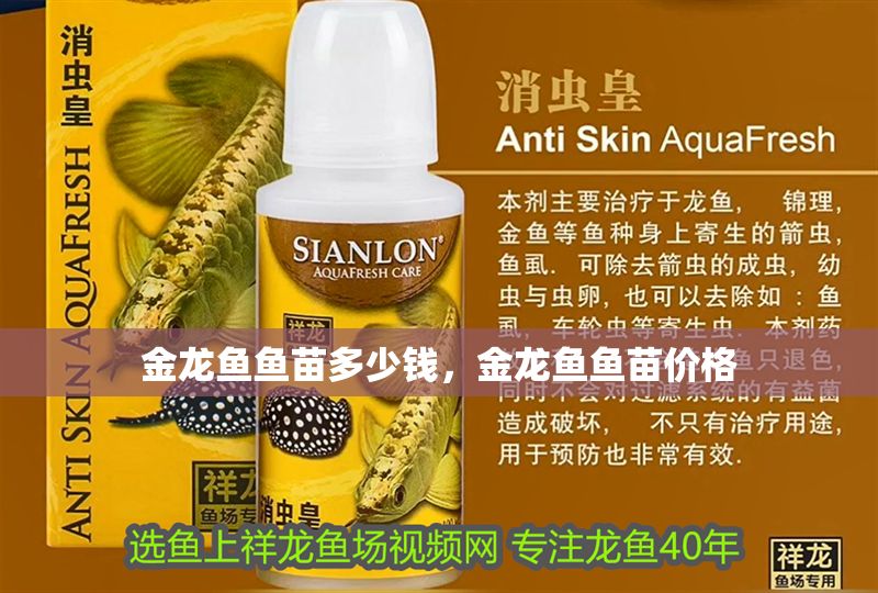 金龍魚魚苗多少錢，金龍魚魚苗價(jià)格