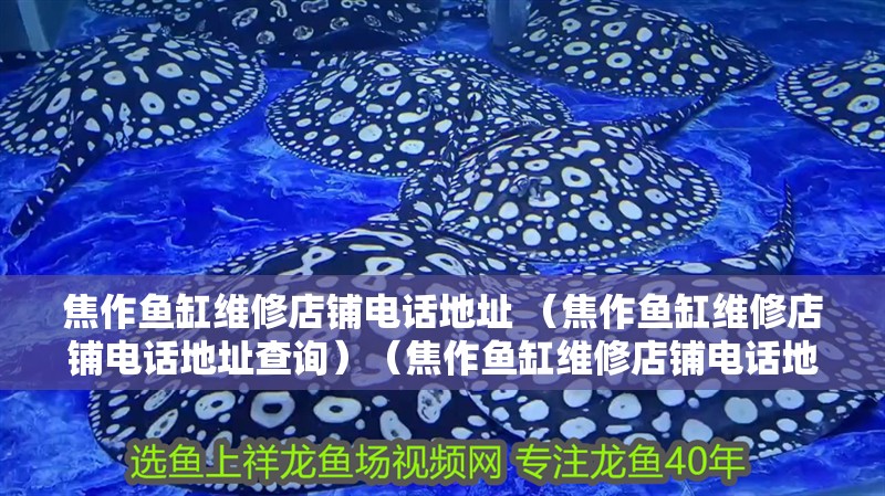 <strong><mark>焦作</mark></strong>魚缸維修店鋪電話地址 （<strong><mark>焦作</mark></strong>魚缸維修店鋪電話地址查詢）（<strong><mark>焦作</mark></strong>魚缸維修店鋪電話地址及查詢方法與技巧與技巧介紹）