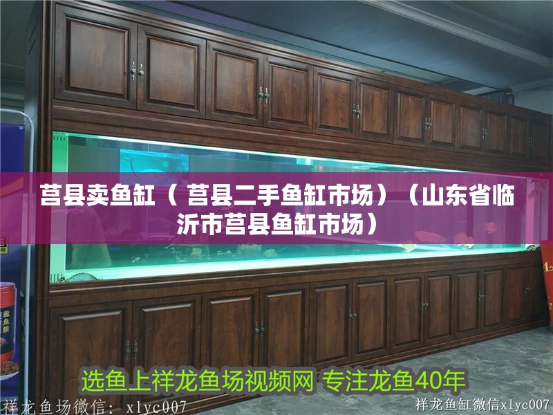莒縣賣魚缸（ 莒縣二手魚缸市場）（山東省臨沂市莒縣魚缸市場）