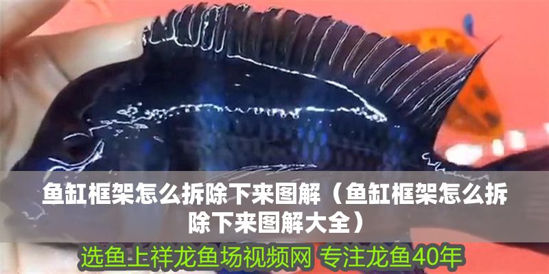 魚缸框架怎么拆除下來圖解（魚缸框架怎么拆除下來圖解大全）