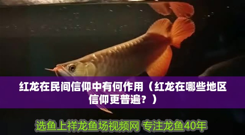 紅龍在民間信仰中有何作用（紅龍在哪些地區(qū)信仰更普遍？）