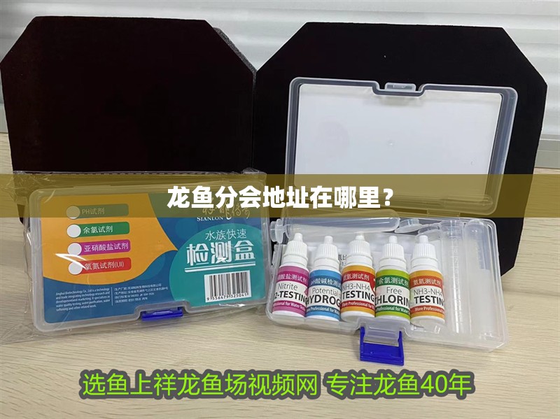 龍魚分會地址在哪里？