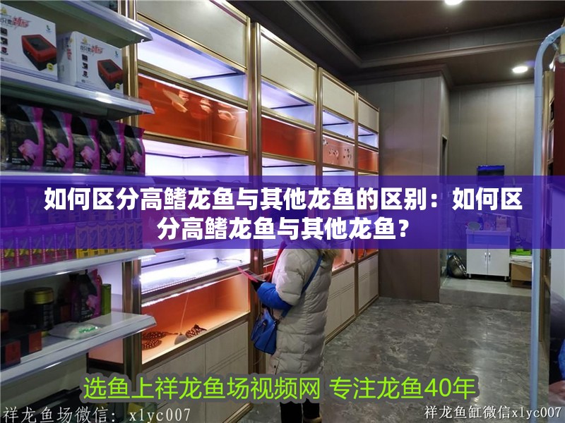 如何區分高鰭龍魚與其他龍魚的區別：如何區分高鰭龍魚與其他龍魚？