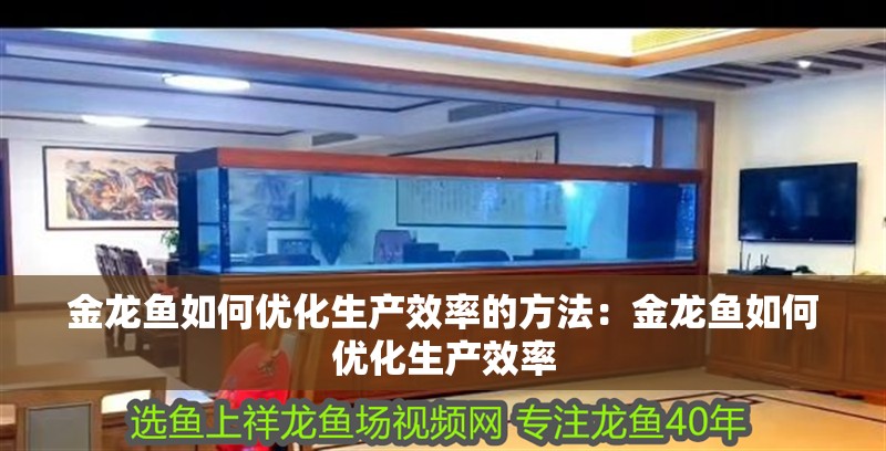 金龍魚如何優化生產效率的方法：金龍魚如何優化生產效率 金龍魚如何優化生產效率的方法：金龍魚如何優化生產效率 水族問答