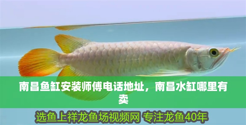 <strong><mark>南昌</mark></strong>魚缸安裝師傅電話地址，<strong><mark>南昌</mark></strong>水缸哪里有賣