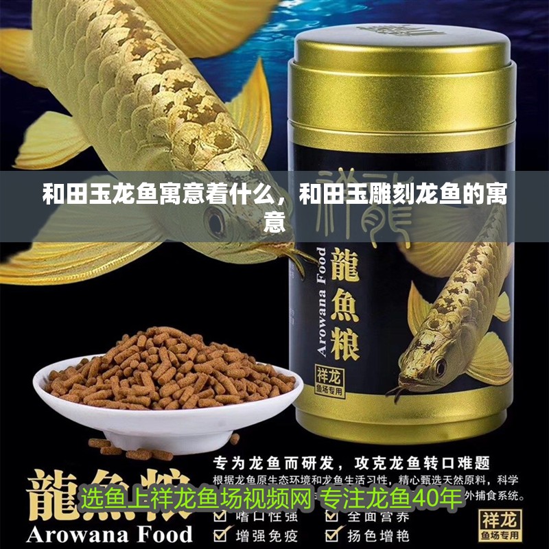 和田玉龍魚寓意著什么，和田玉雕刻龍魚的寓意