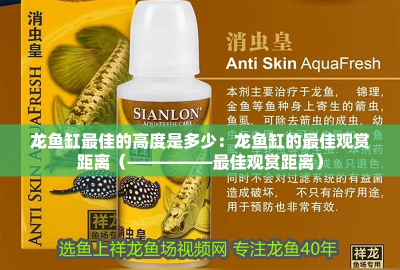龍魚缸最佳的高度是多少：龍魚缸的最佳觀賞距離（—————最佳觀賞距離）