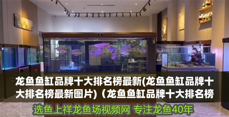 龍魚魚缸品牌十大排名榜最新(龍魚魚缸品牌十大排名榜最新圖片)（龍魚魚缸品牌十大排名榜）