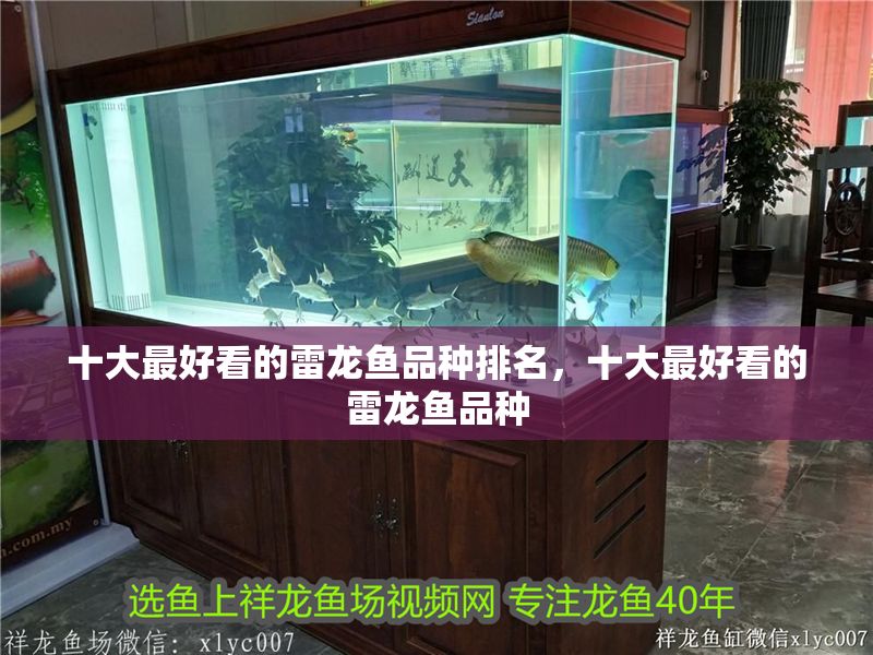 十大最好看的雷龍魚品種排名，十大最好看的雷龍魚品種