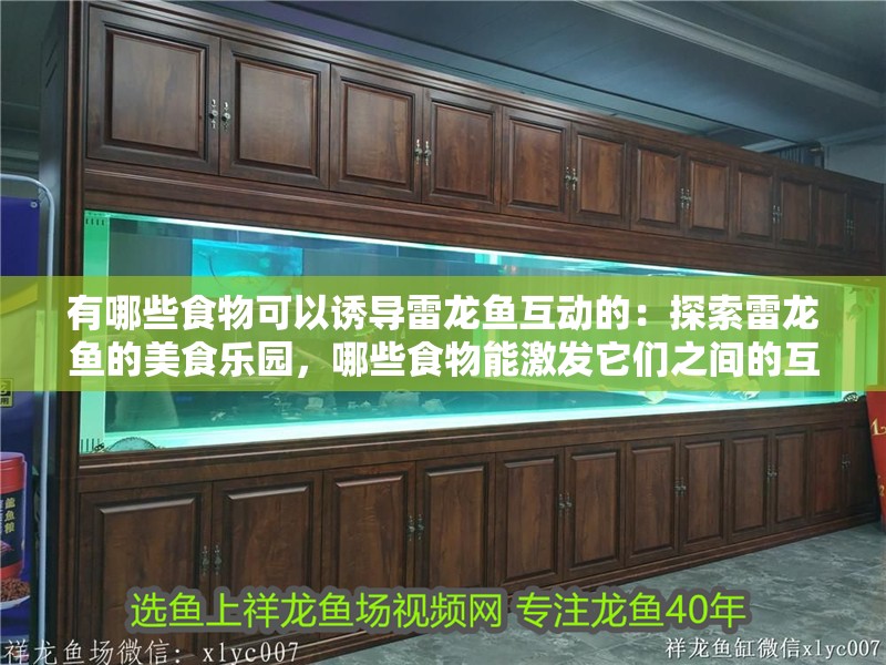 有哪些食物可以誘導雷龍魚互動的：探索雷龍魚的美食樂園，哪些食物能激發它們之間的互動？