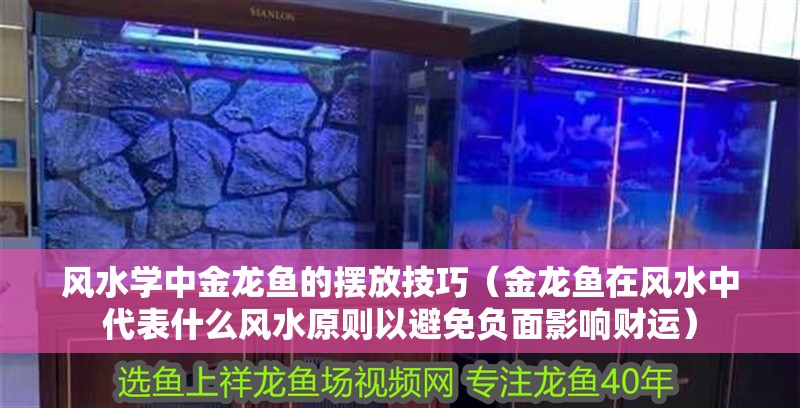 風(fēng)水學(xué)中金龍魚的擺放技巧（金龍魚在風(fēng)水中代表什么風(fēng)水原則以避免負(fù)面影響財運）