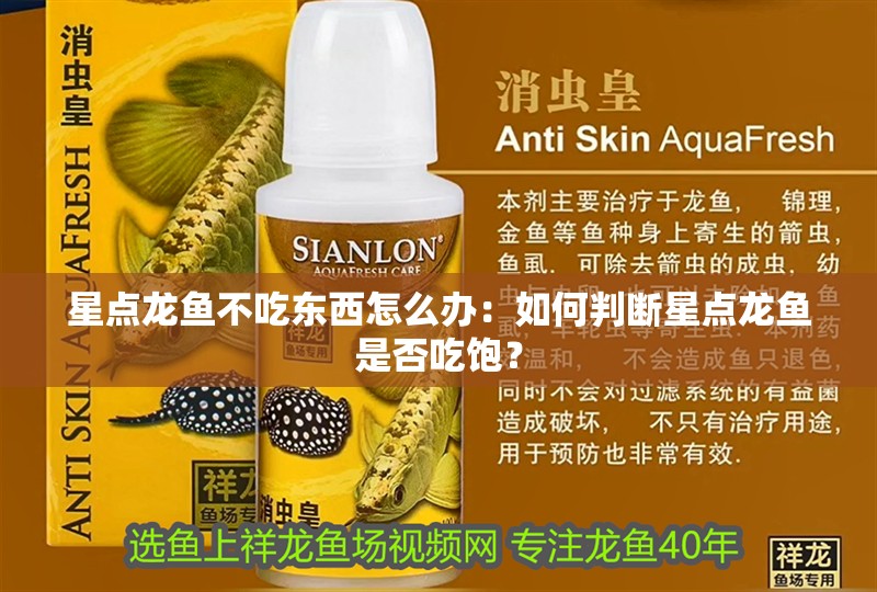 星點龍魚不吃東西怎么辦：如何判斷星點龍魚是否吃飽？