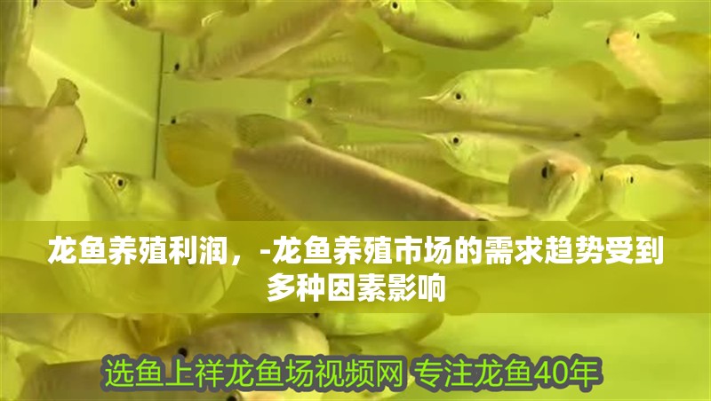 龍魚養殖利潤，-龍魚養殖市場的需求趨勢受到多種因素影響