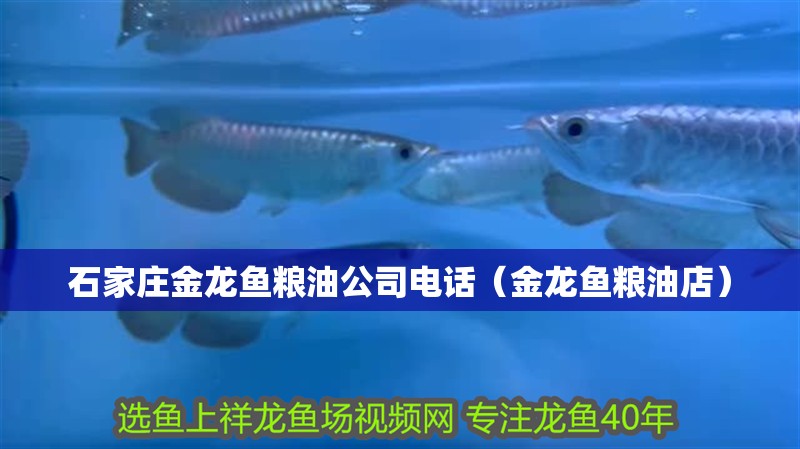 石家莊金龍魚糧油公司電話（金龍魚糧油店）