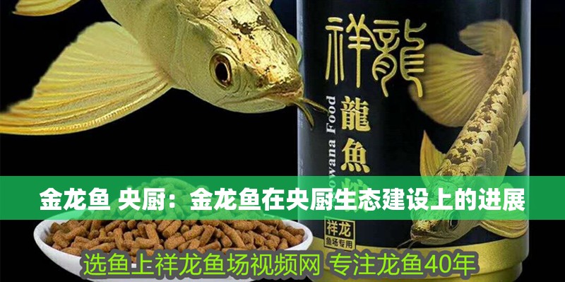 金龍魚 央廚：金龍魚在央廚生態建設上的進展