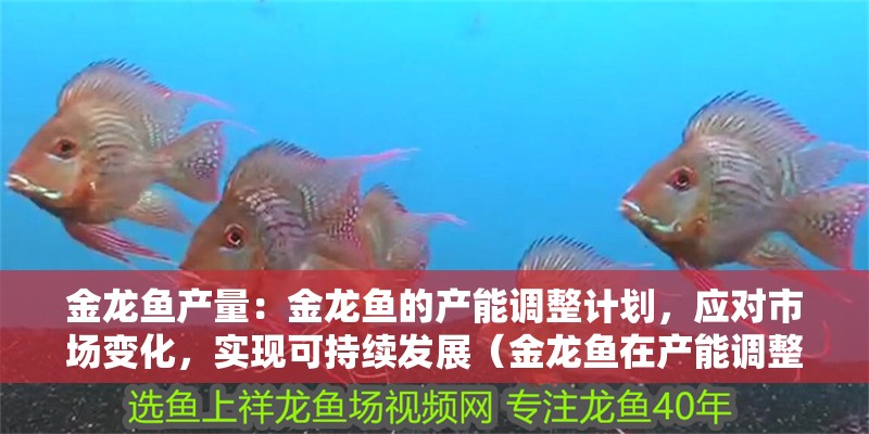 金龍魚產量：金龍魚的產能調整計劃，應對市場變化，實現可持續發展（金龍魚在產能調整方面取得了顯著的成效）