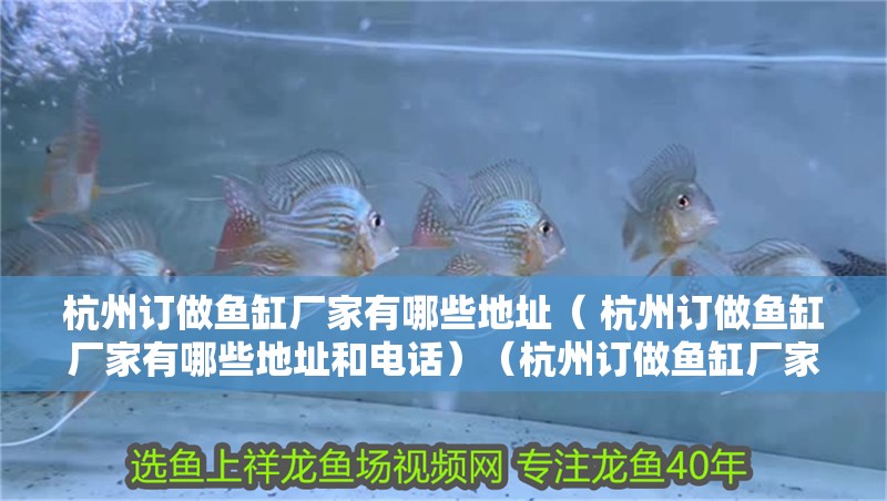 杭州訂做魚缸廠家有哪些地址（ 杭州訂做魚缸廠家有哪些地址和電話）（杭州訂做魚缸廠家）