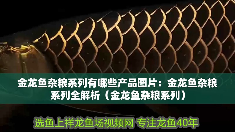 金龍魚(yú)雜糧系列有哪些產(chǎn)品圖片：金龍魚(yú)雜糧系列全解析（金龍魚(yú)雜糧系列）