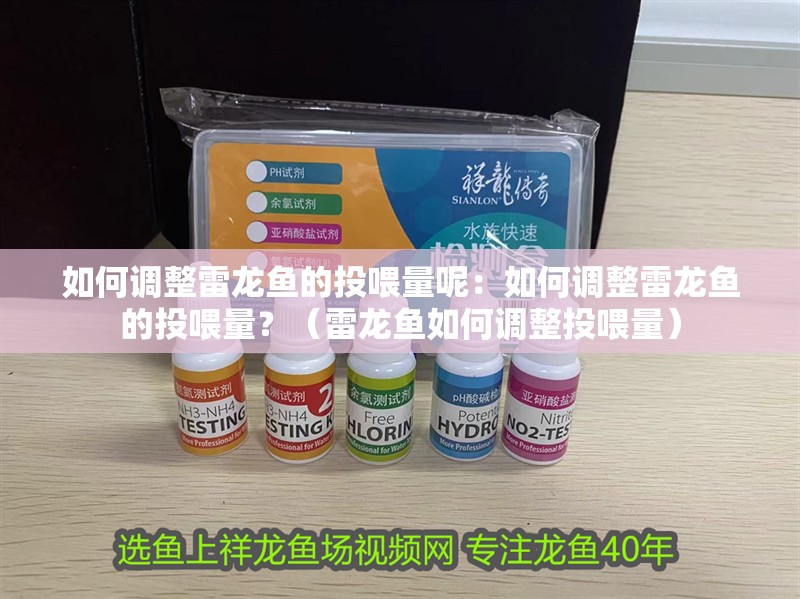 如何調整雷龍魚的投喂量呢：如何調整雷龍魚的投喂量？（雷龍魚如何調整投喂量）