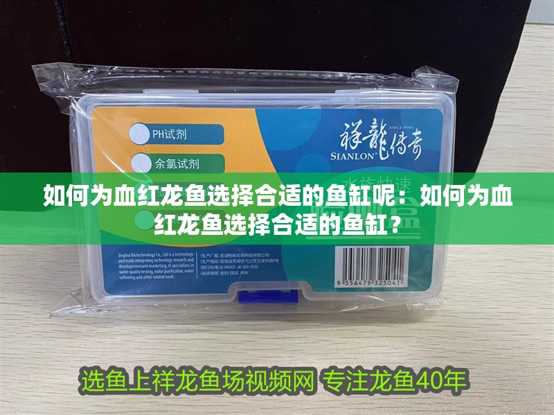如何為血紅龍魚選擇合適的魚缸呢：如何為血紅龍魚選擇合適的魚缸？