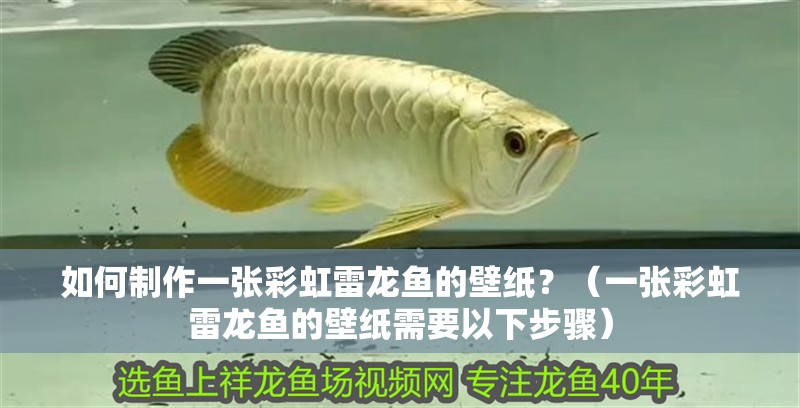 如何制作一張彩虹雷龍魚的壁紙？（一張彩虹雷龍魚的壁紙需要以下步驟）