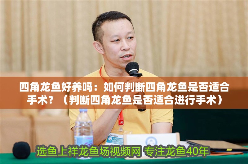 四角龍魚好養嗎：如何判斷四角龍魚是否適合手術？（判斷四角龍魚是否適合進行手術）