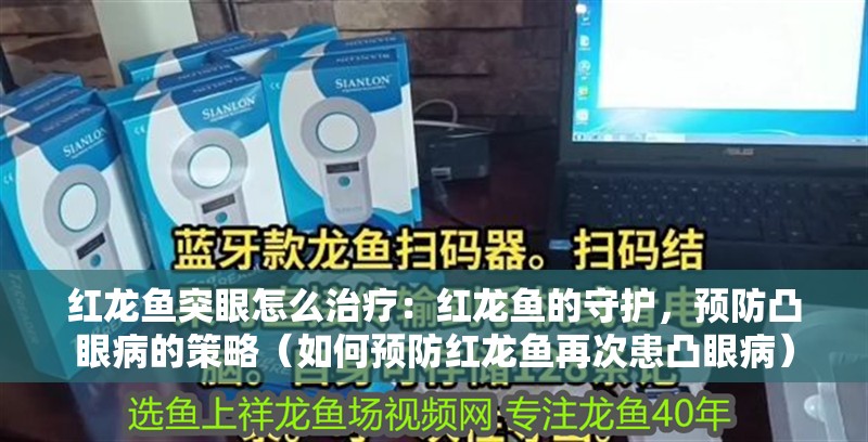 紅龍魚突眼怎么治療：紅龍魚的守護，預防凸眼病的策略（如何預防紅龍魚再次患凸眼病）