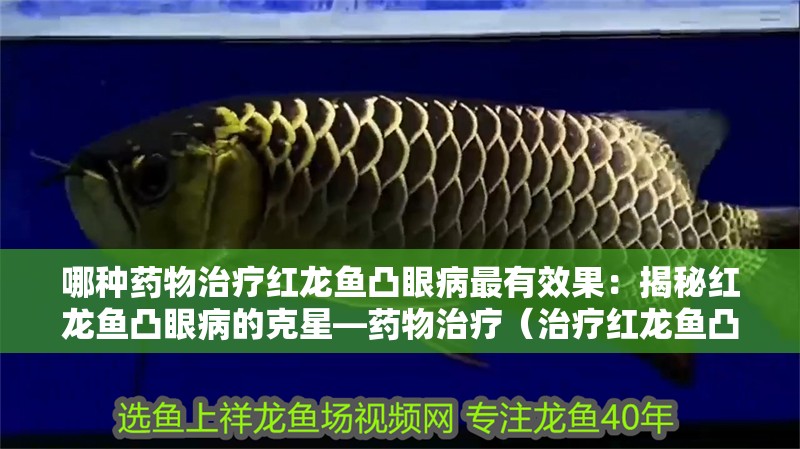 哪種藥物治療紅龍魚凸眼病最有效果：揭秘紅龍魚凸眼病的克星—藥物治療（治療紅龍魚凸眼病的方法）