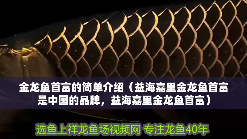 金龍魚首富的簡單介紹（益海嘉里金龍魚首富是中國的品牌，益海嘉里金龍魚首富）