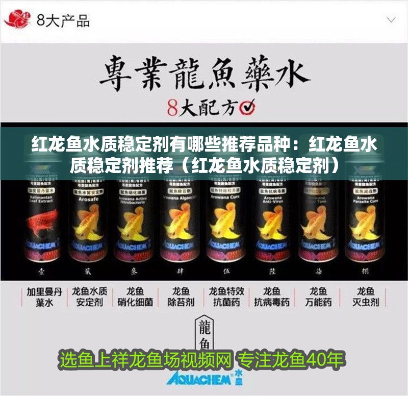 紅龍魚水質穩定劑有哪些推薦品種：紅龍魚水質穩定劑推薦（紅龍魚水質穩定劑）