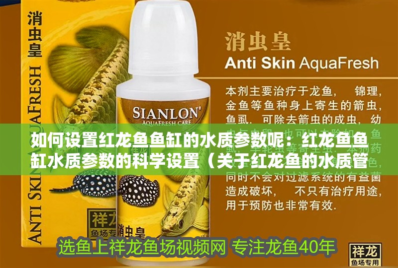 如何設(shè)置紅龍魚魚缸的水質(zhì)參數(shù)呢：紅龍魚魚缸水質(zhì)參數(shù)的科學(xué)設(shè)置（關(guān)于紅龍魚的水質(zhì)管理）