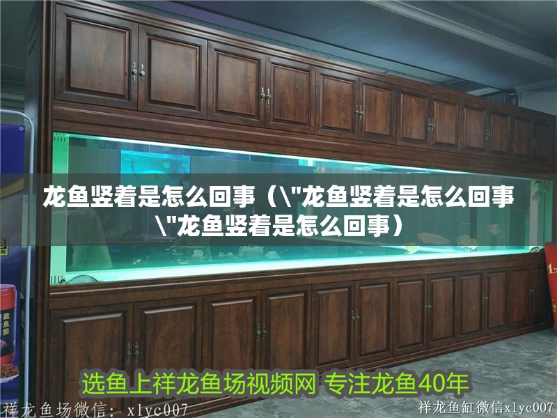 龍魚豎著是怎么回事（\