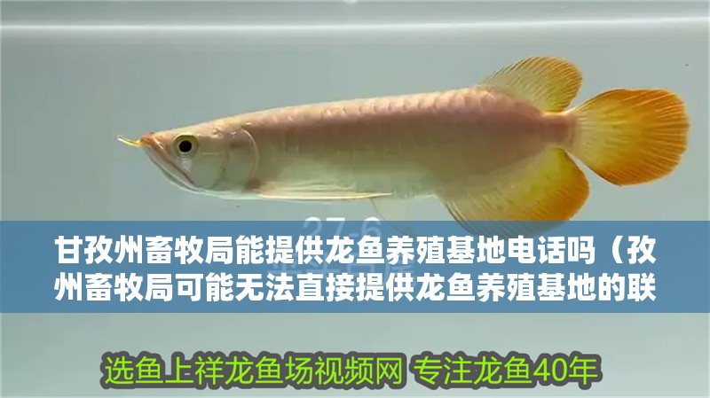 甘孜州畜牧局能提供龍魚養殖基地電話嗎（孜州畜牧局可能無法直接提供龍魚養殖基地的聯系電話）